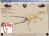 Free Dinosaur Hunt game